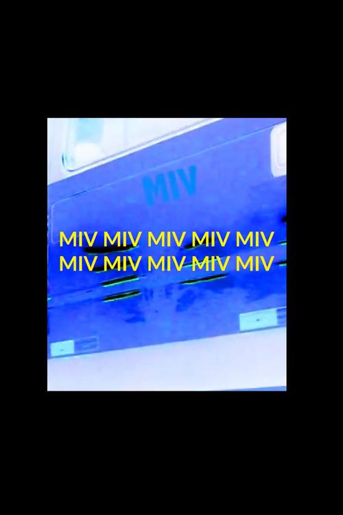 MIV 2013 official movie poster