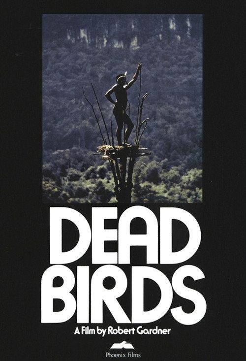 Dead Birds 1963 official movie poster