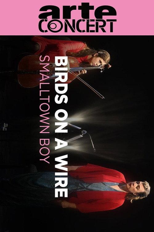 Birds On A Wire @ Louvre Museum 2024 official movie poster