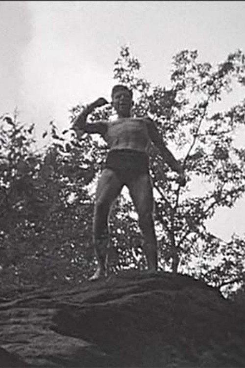 Tarzan and the Rocky Gorge 1936 official movie poster