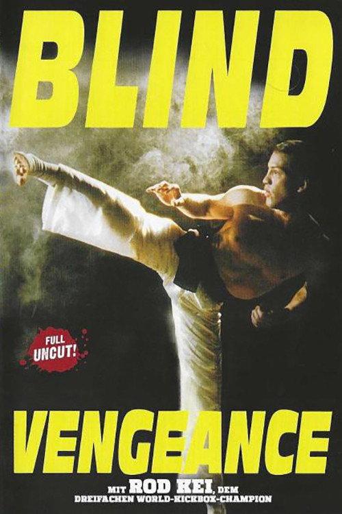 Blind Vengeance 1994 official movie poster