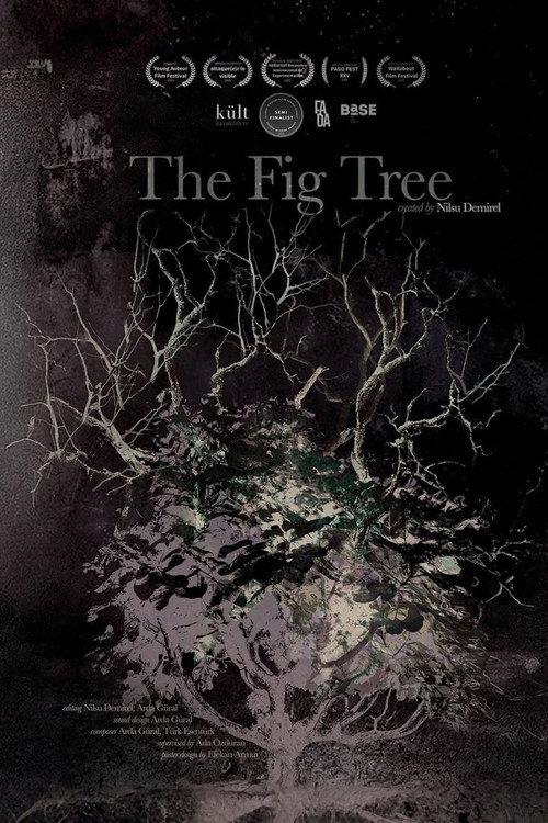 The Fig Tree 2025 official movie poster