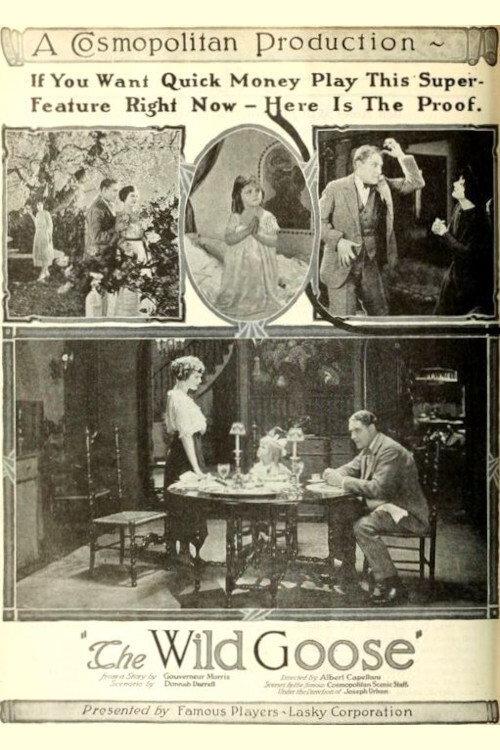 The Wild Goose 1921 official movie poster
