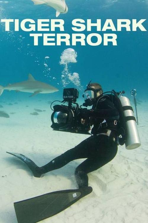 Tiger Shark Terror 2017 official movie poster