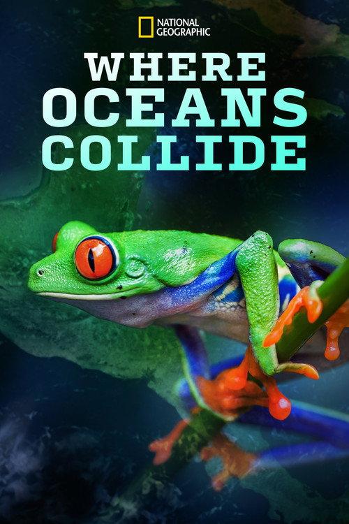 Where Oceans Collide 2018 official movie poster