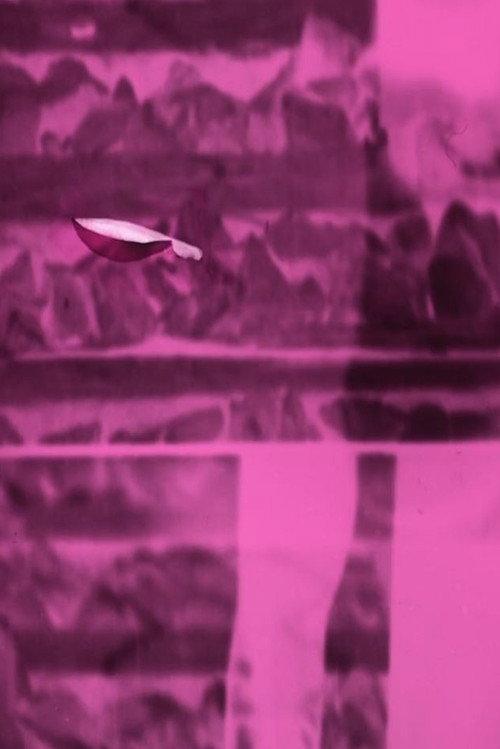 Frequency Objects 2017 official movie poster