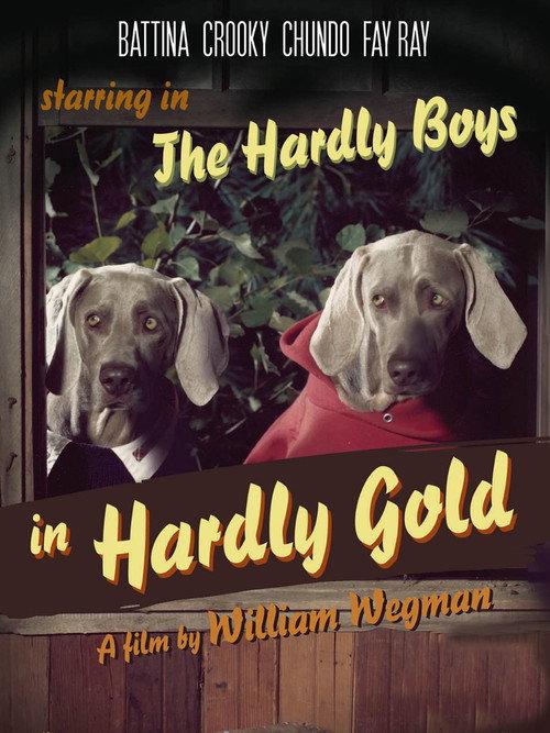 The Hardly Boys in Hardly Gold 1995 official movie poster