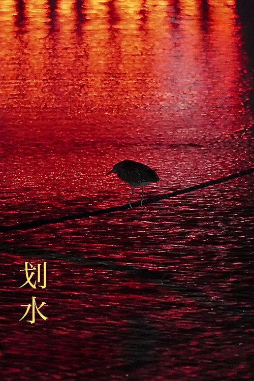 Rowing 2023 official movie poster