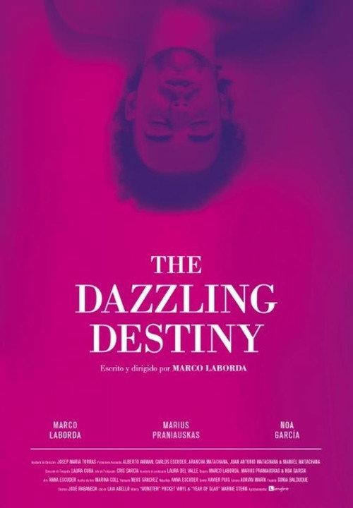 The Dazzling Destiny 2013 official movie poster