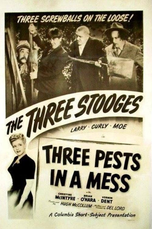 Three Pests in a Mess 1945 official movie poster