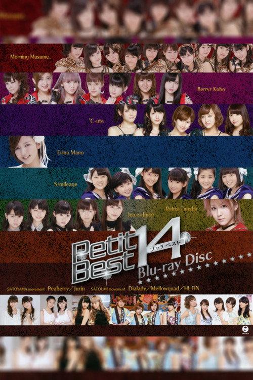 Petit Best 14 2013 official movie poster