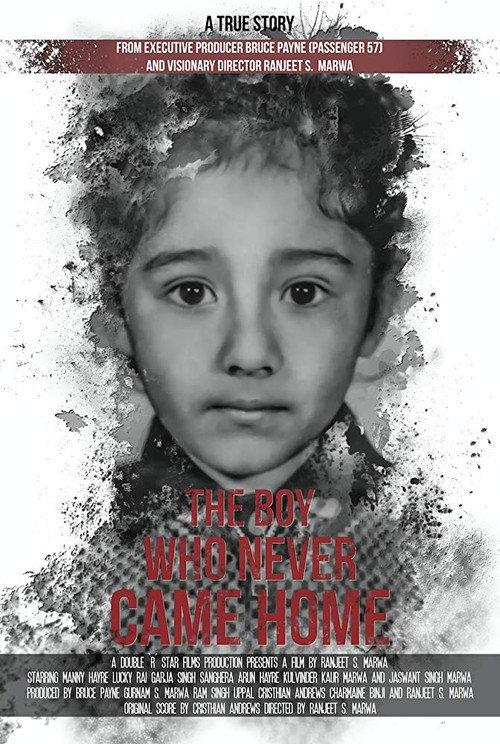 The Boy Who Never Came Home: A True Story 2018 official movie poster