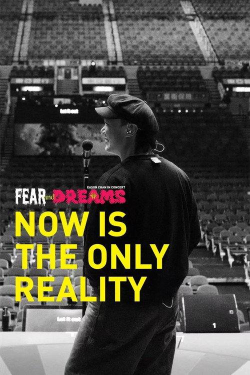 FEAR and DREAMS: NOW is the only reality 2025 official movie poster