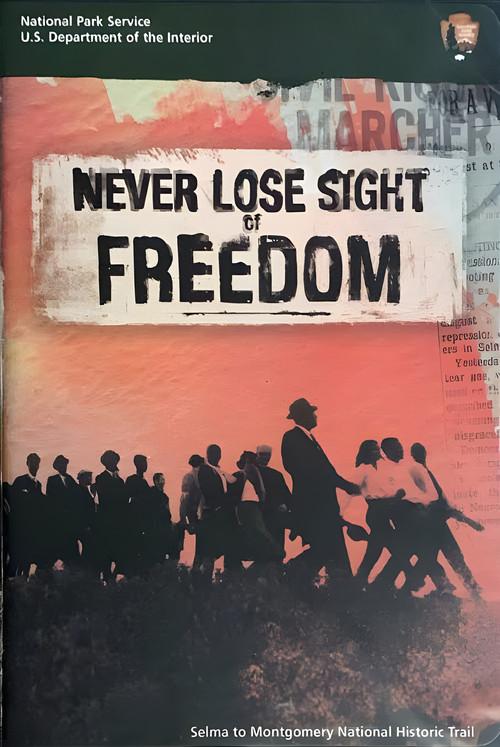 Never Lose Sight of Freedom 2006 official movie poster