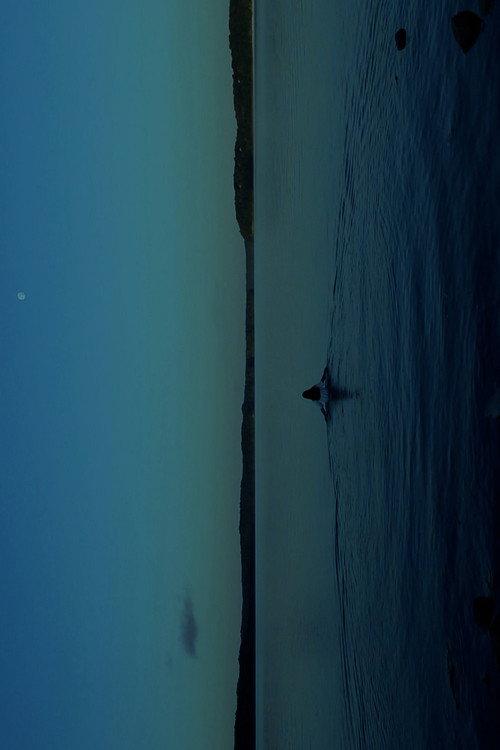 THE WATERS 2024 official movie poster