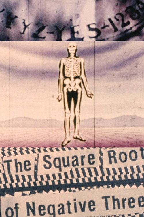 The Square Root of Negative Three 1991 official movie poster