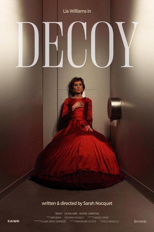 Decoy 2025 official movie poster