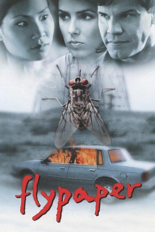Flypaper 1999 official movie poster
