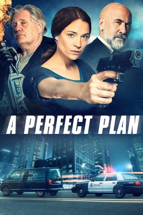 A Perfect Plan 2020 official movie poster