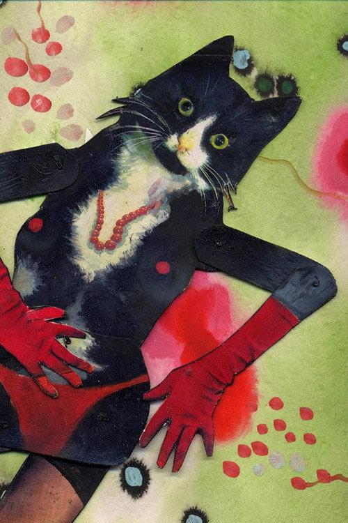 Cats Amore 2000 official movie poster