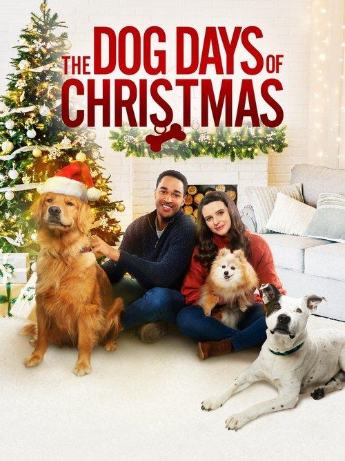 The Dog Days of Christmas 2021 official movie poster