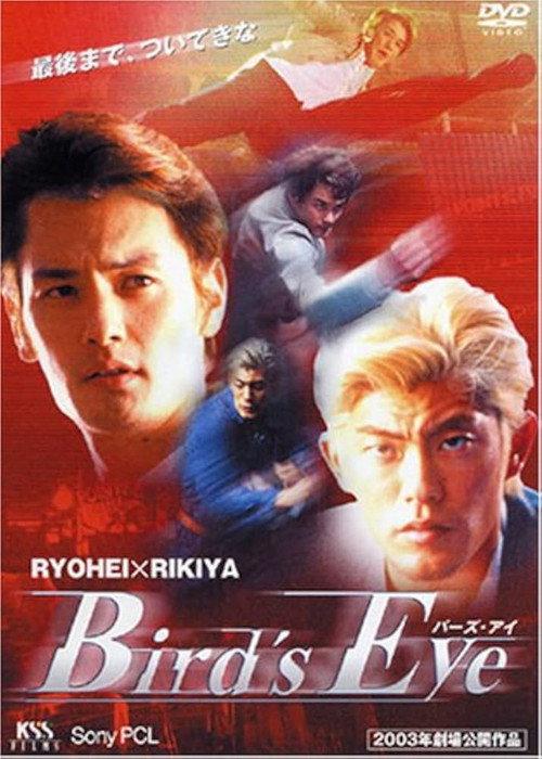 BIRD'S EYE 2003 official movie poster