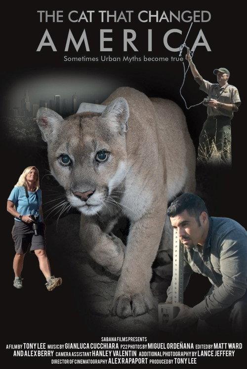 The Cat That Changed America 2017 official movie poster