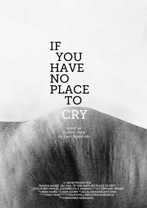 If You Have No Place to Cry 2011 official movie poster