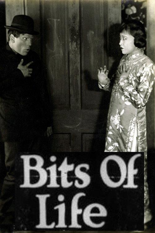 Bits of Life 1921 official movie poster
