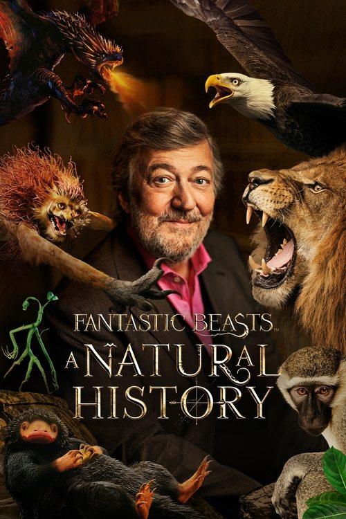 Fantastic Beasts: A Natural History 2022 official movie poster