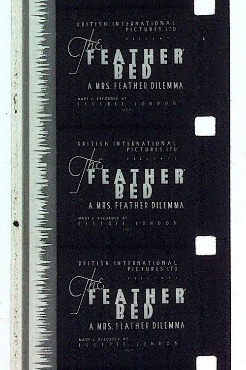 The 'Feather' Bed: A Mrs. Feather Dilemma 1933 official movie poster