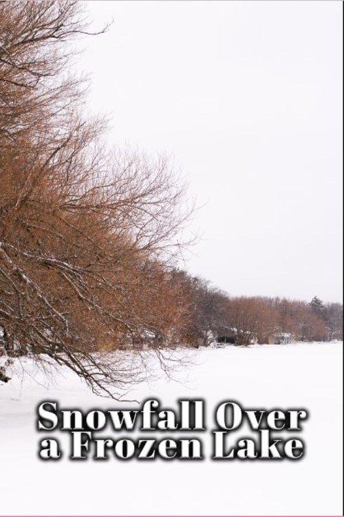 Snowfall Over a Frozen Lake 2023 official movie poster