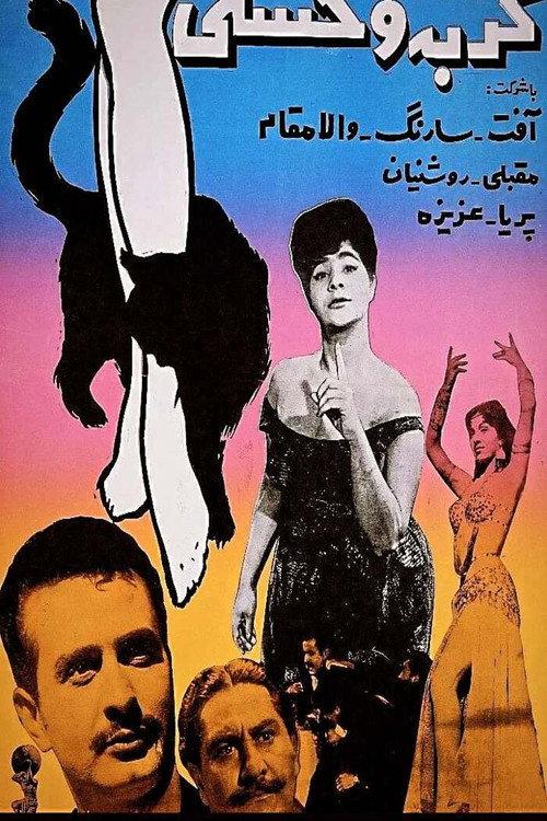 Wild Cat 1962 official movie poster