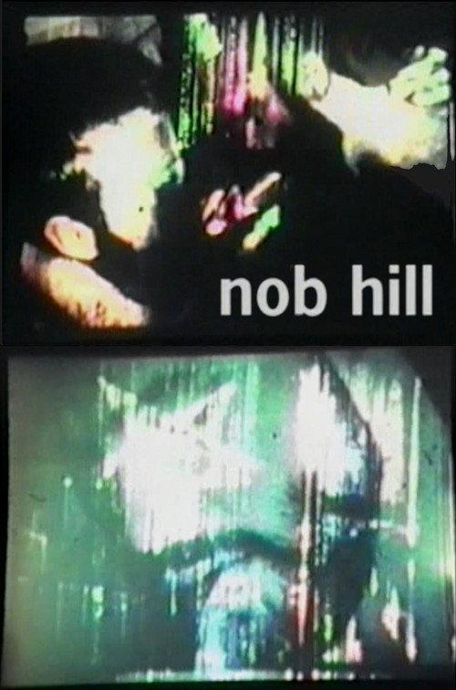 Nob Hill Cinema 1995 official movie poster