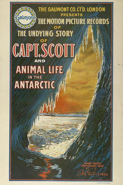 90° South 1914 official movie poster