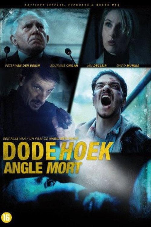 The Blind Spot 2017 official movie poster