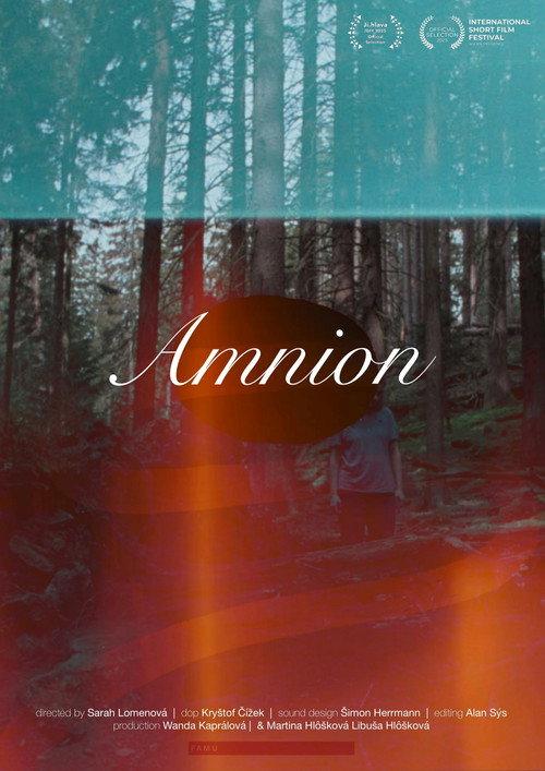 Amnion 2025 official movie poster
