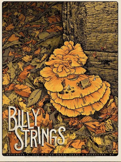 Billy Strings | 2022.11.09 — Blue Cross Arena - Rochester, NY 2022 official movie poster