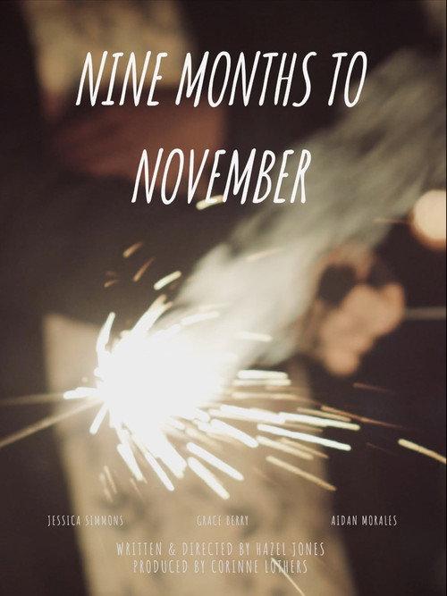 Nine Months to November 2022 official movie poster