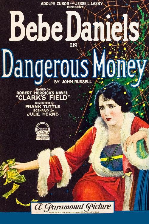 Dangerous Money 1924 official movie poster