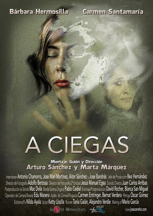 A ciegas 2016 official movie poster
