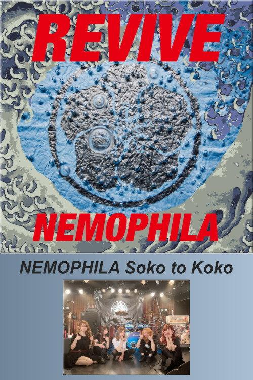 NEMOPHILA Soko to Koko 2021 official movie poster