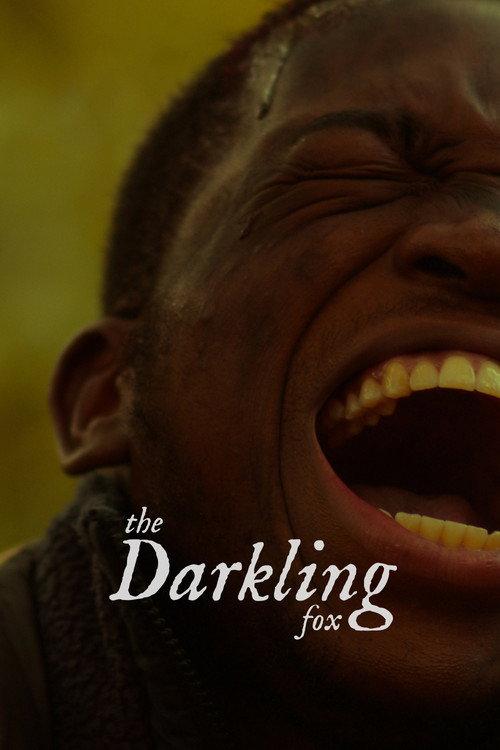 The Darkling Fox 2024 official movie poster