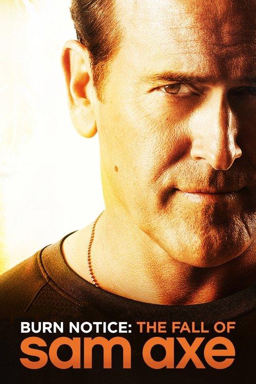 Burn Notice: The Fall of Sam Axe 2011 official movie poster