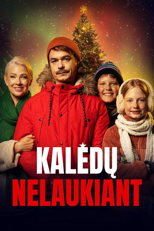 Not Waiting for Christmas 2026 official movie poster