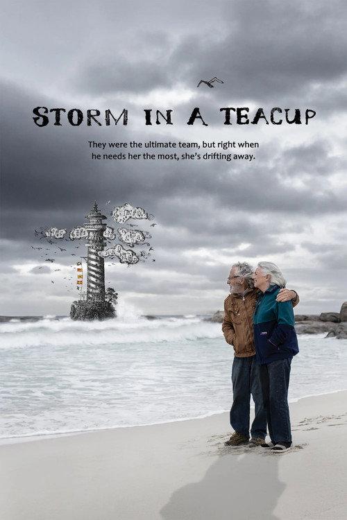 Storm in a Teacup 2019 official movie poster