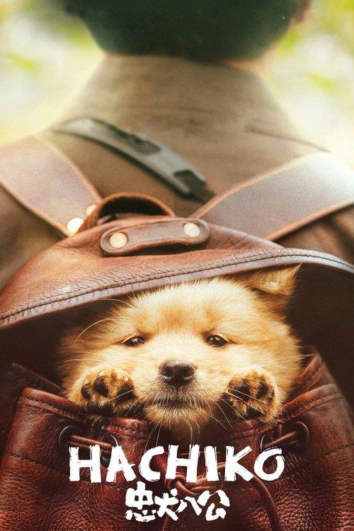 Hachiko 2023 official movie poster