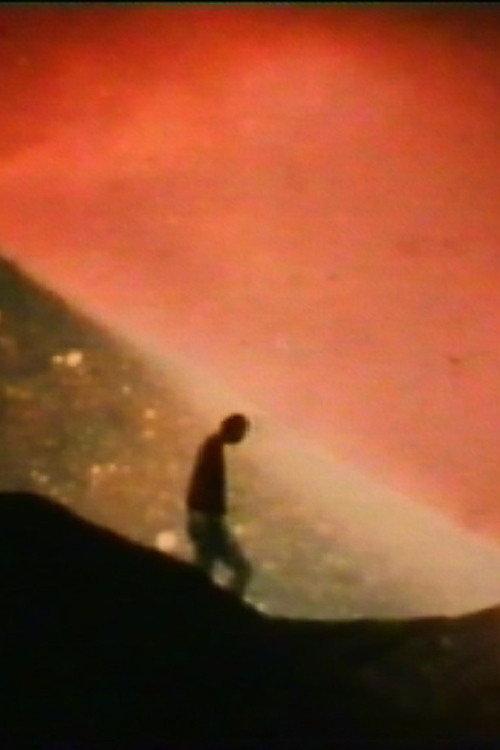 The Galactical North Pole lies in the Hair of Berenice 1990 official movie poster