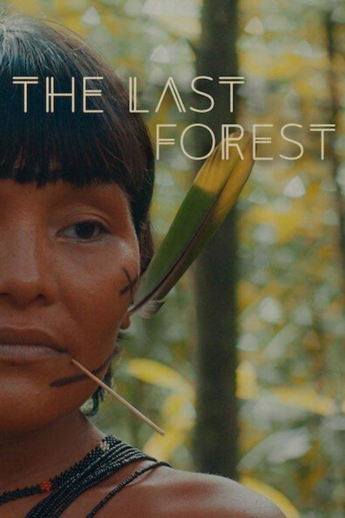 The Last Forest 2021 official movie poster