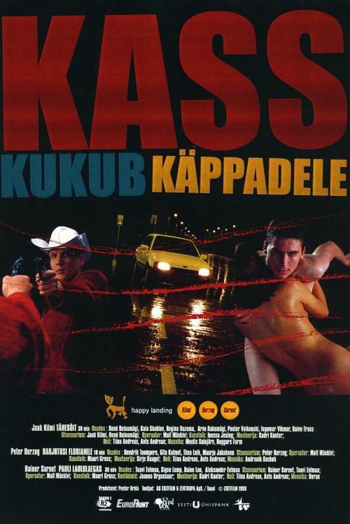 Happy Landing 1999 official movie poster